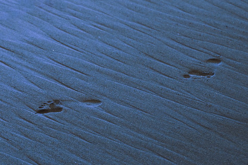 Foot prints at the shore