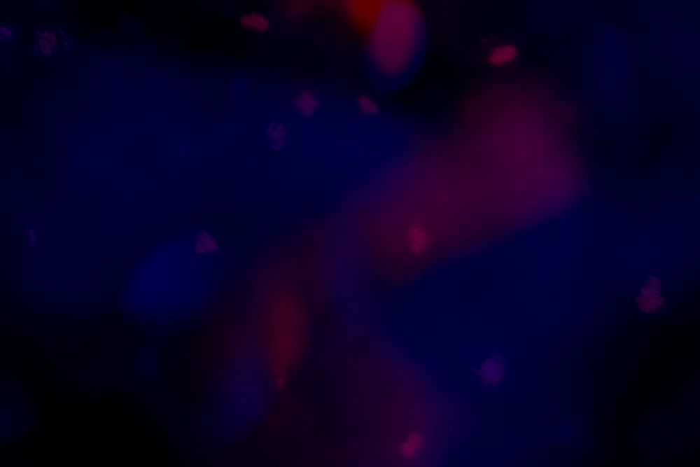 Red bokeh patterned on a dark blue background