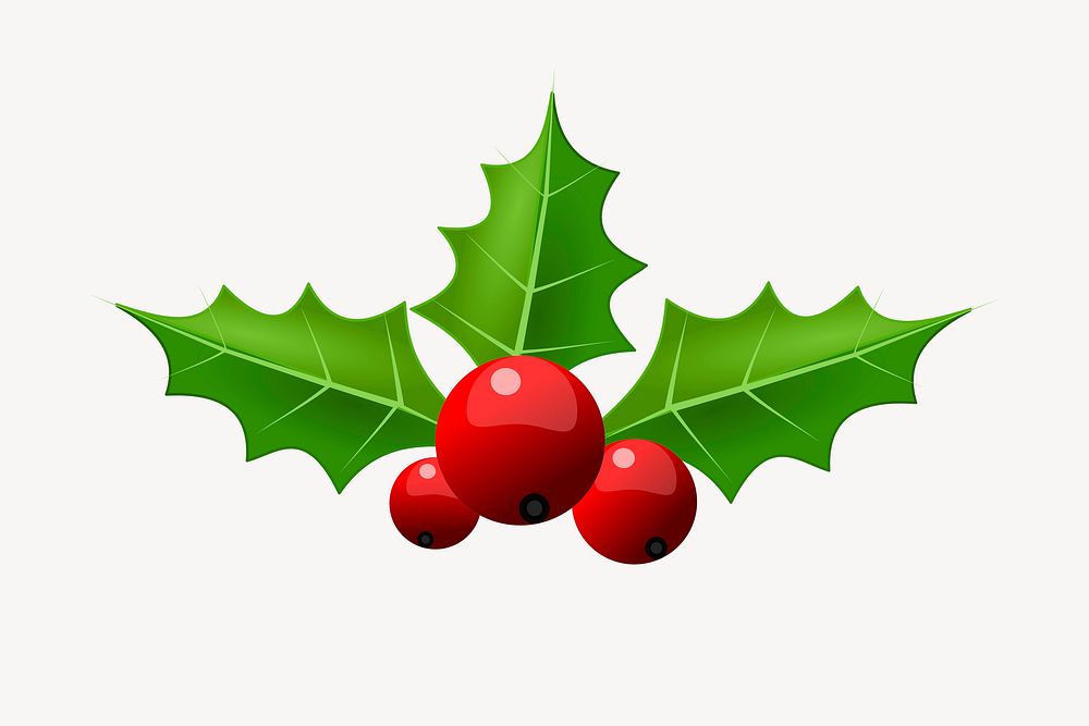 Christmas holly  clipart, illustration vector. Free public domain CC0 image.