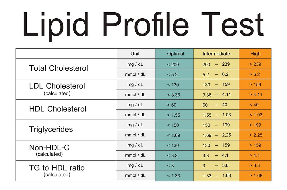 Lipid Profile Test Results Icon