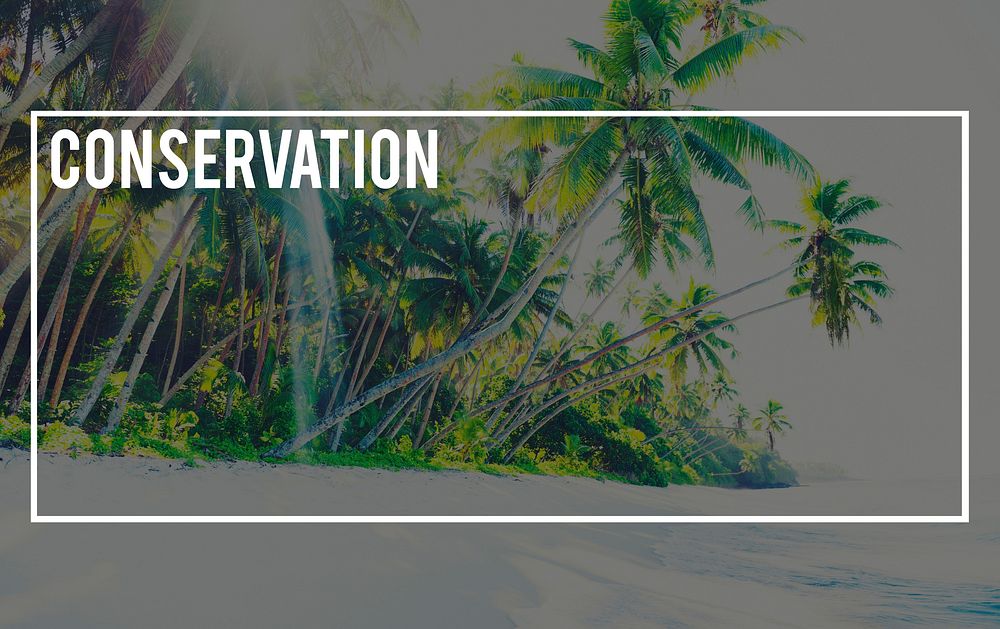 Conservation Preservation Protection Restoration Concept