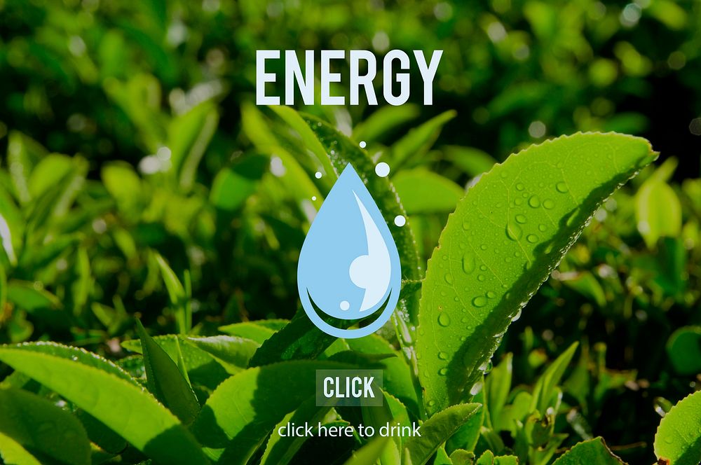 Energy Environment Ecology Sustainable Concept