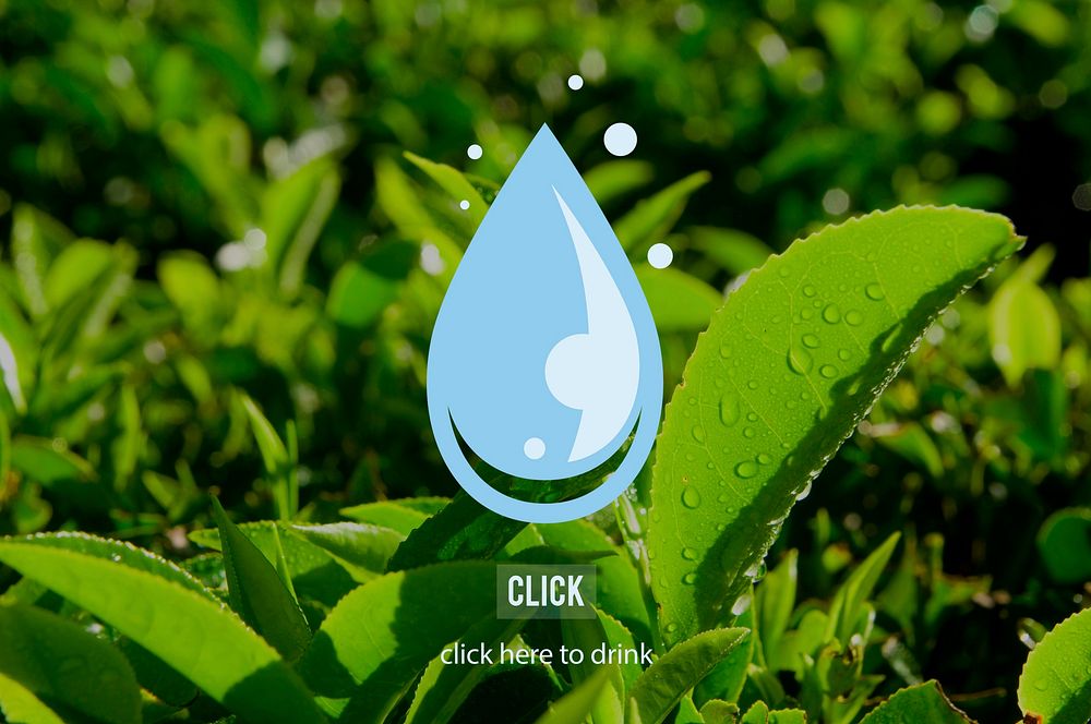Drop Water Freshness Drink Environmental Concpet
