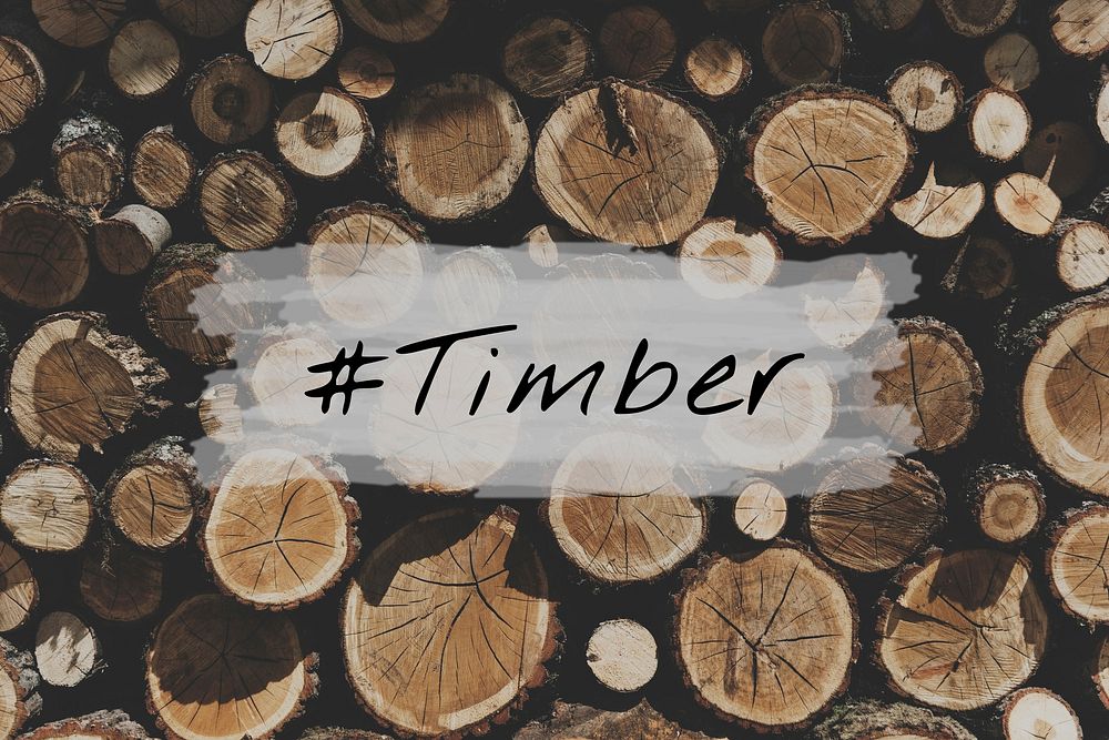 TImber Wood Trunk Stacked Lumber Pine