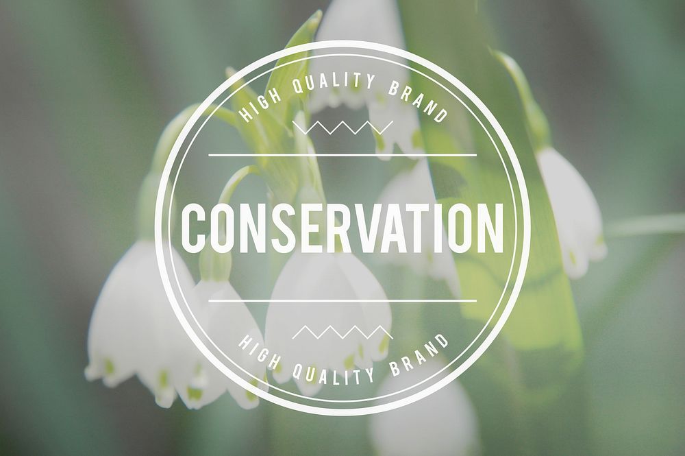 Conservation Environmental Conservation Protection Care Concept