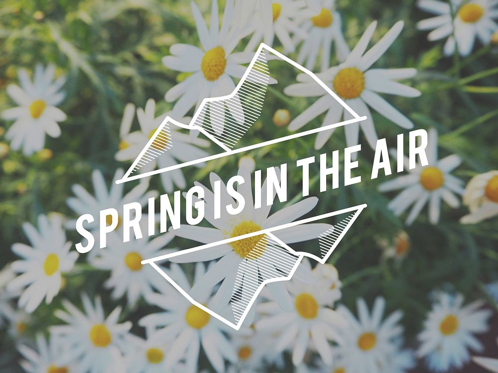 Spring In The Air Concept