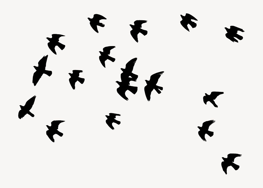 Birds flying collage element psd