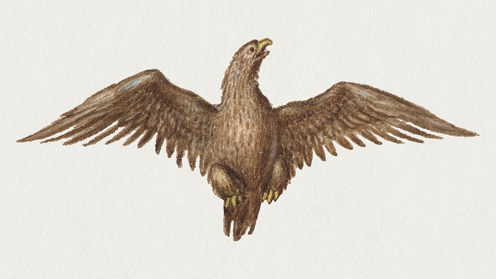 Hand drawn psd vintage vulture bird