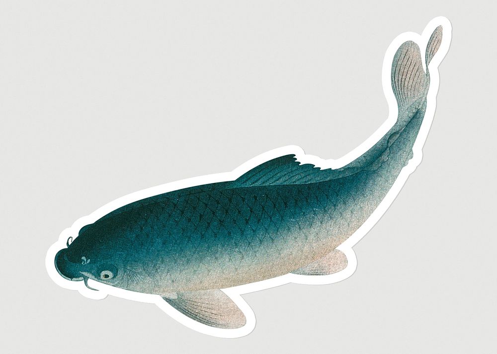 Common carp fish sticker design element 