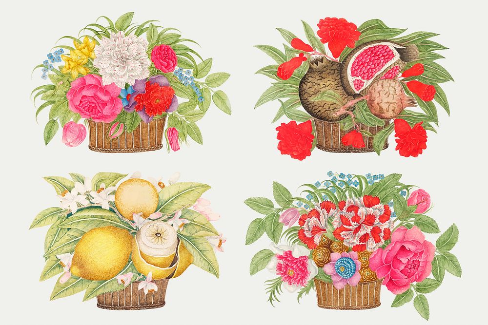 Vintage basket of flowers and fruits vector illustration set, remixed from the 18th-century artworks from the Smithsonian…