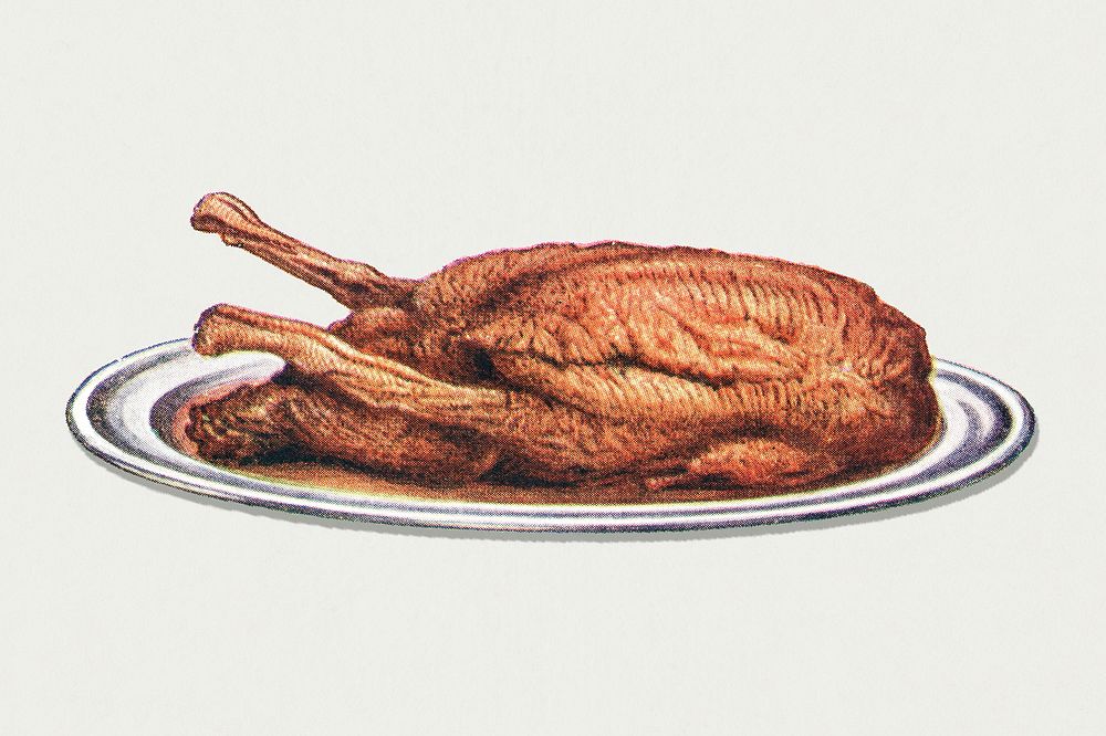 Vintage roast wild duck dish illustration