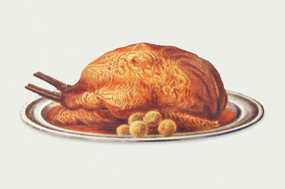 Vintage roast turkey with savoury balls illustration