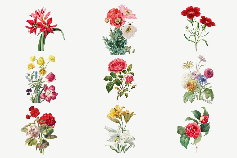 Vintage blooming flowers vector illustration set