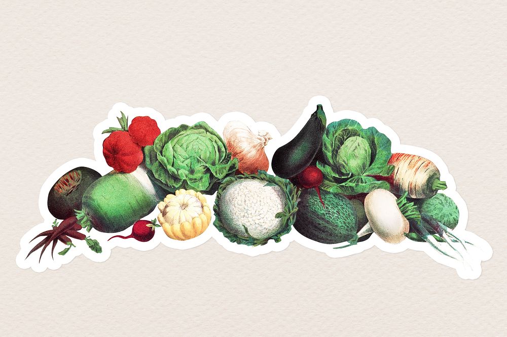 Vintage vegetables sticker with white border