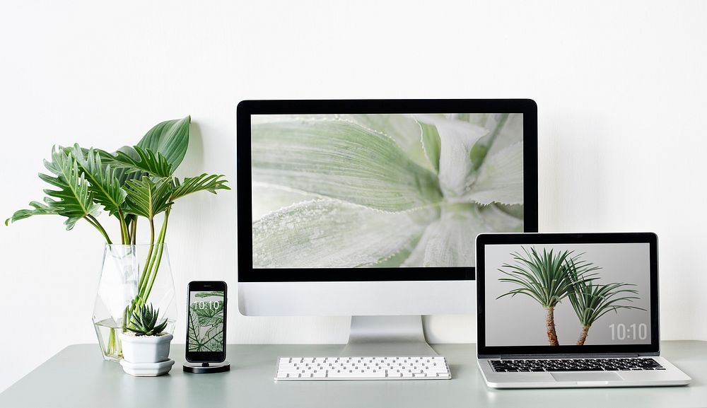 Botanical screen digital devices, workspace photo
