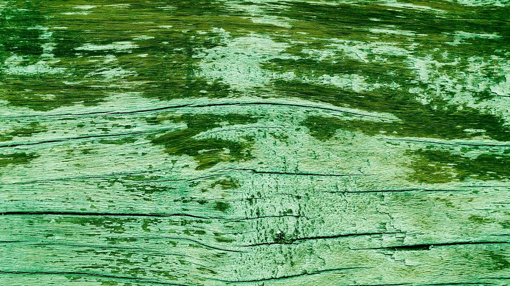 Grunge green paint wood background