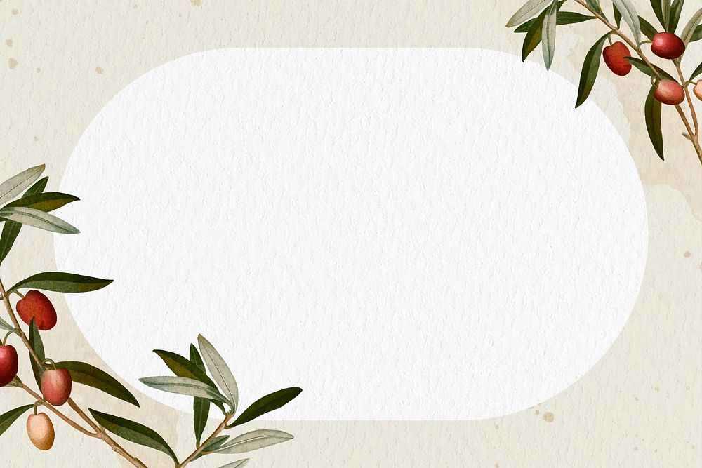 Olive branch frame on a beige background template vector