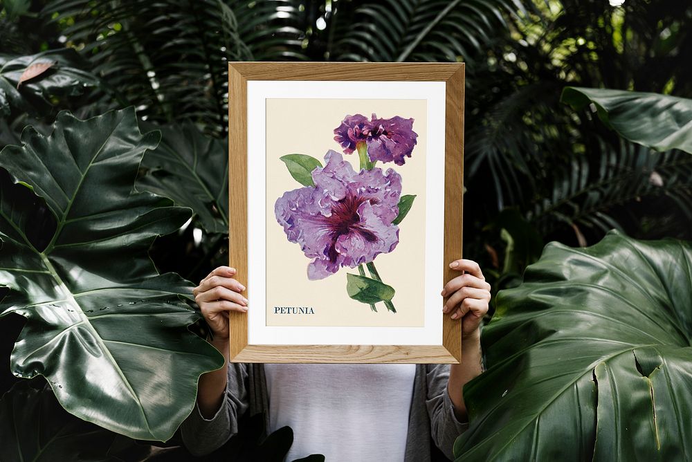 Petunia flower painting frame