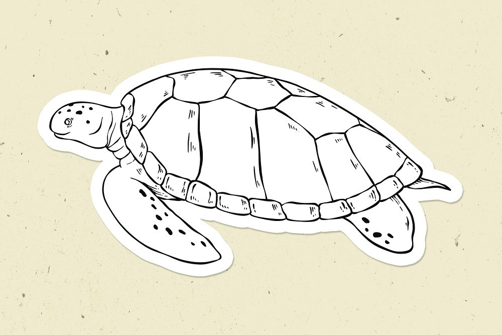 Psd turtle cartoon sticker hand drawn clipart black and white