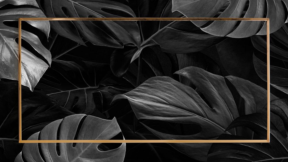 Gold frame black monstera leaf social media banner background
