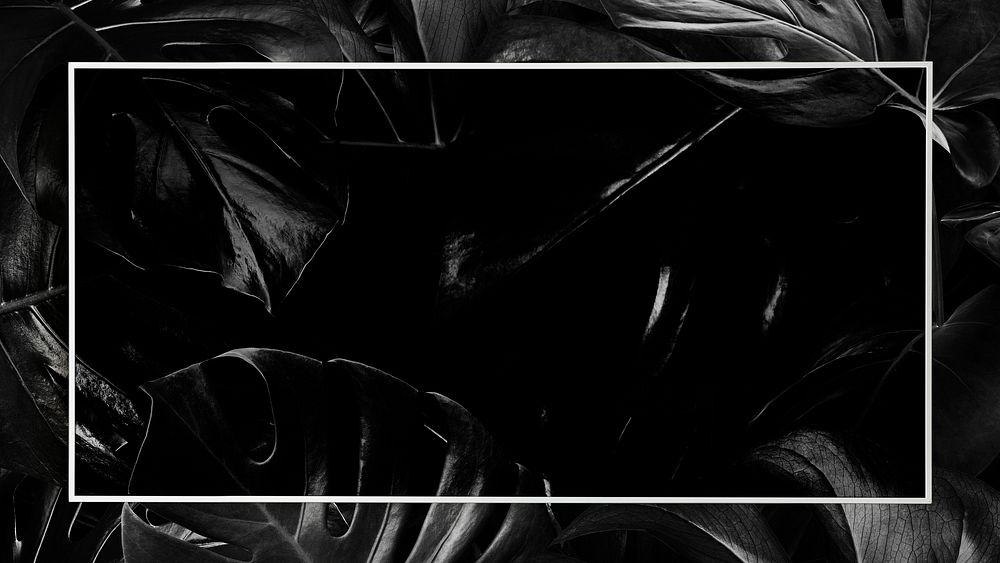 Frame on black monstera leaf social media banner background