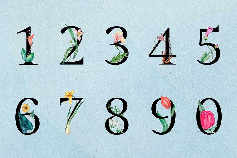 123 collection floral vintage typeface numbers