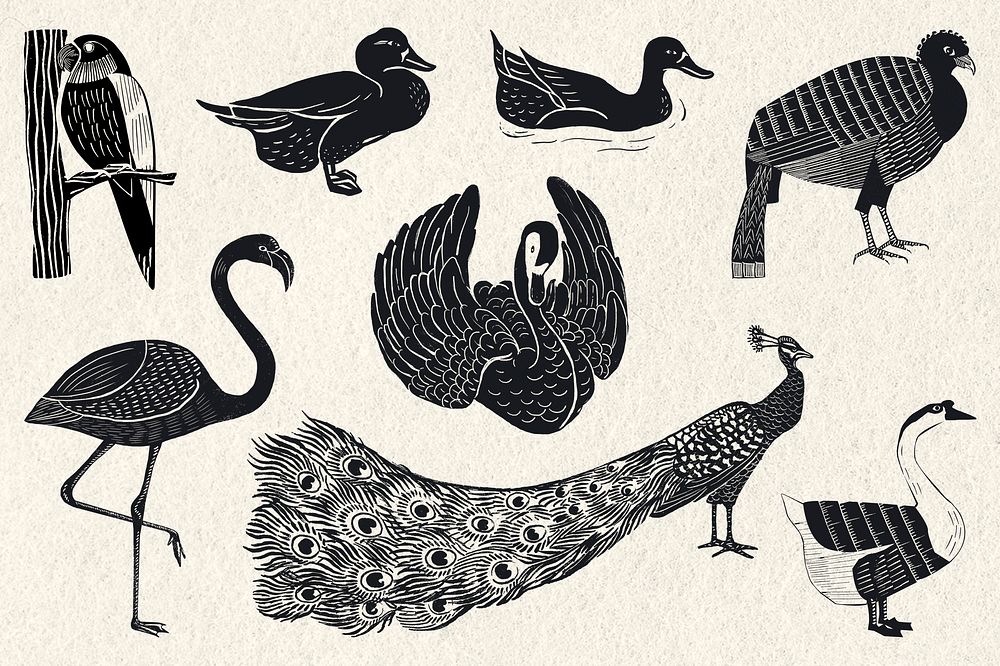 Birds black linocut stencil pattern drawing collection