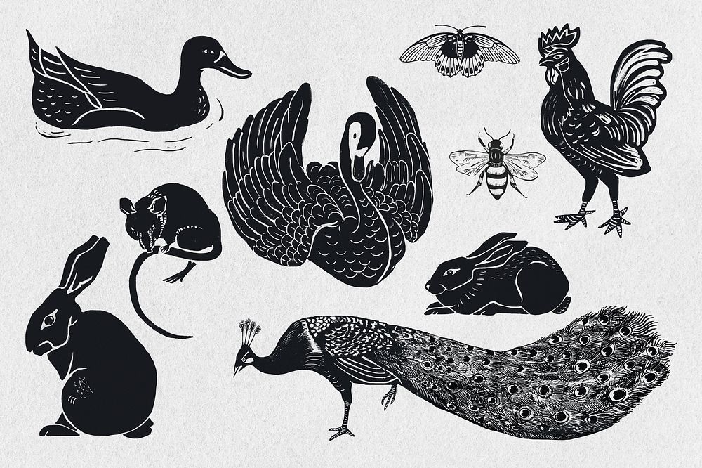 Birds black linocut stencil pattern drawing set
