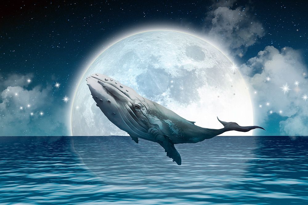 Moon & whale background, surreal escapism remixed media