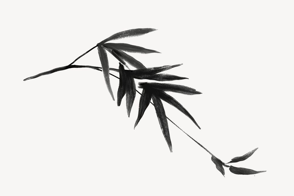 Bamboo leaf collage element,  line art design  psd