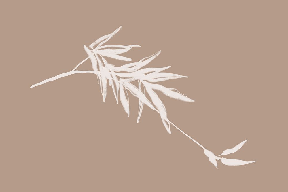 Bamboo leaf doodle collage element, botanical illustration psd