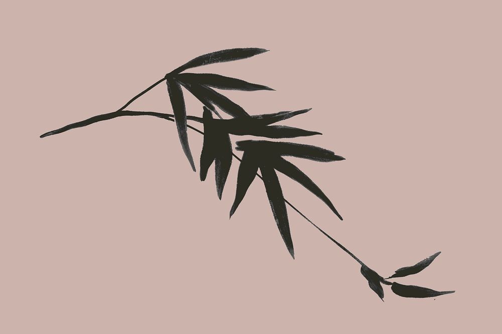 Bamboo leaf doodle collage element, botanical illustration psd