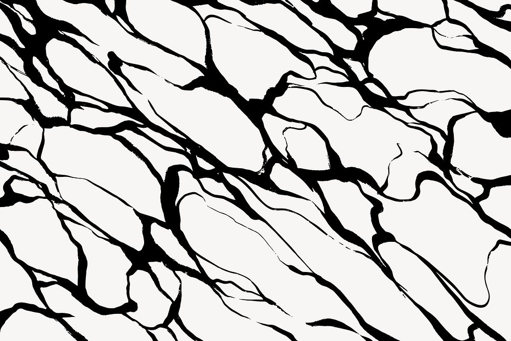 Abstract wavy background, black and white design vector