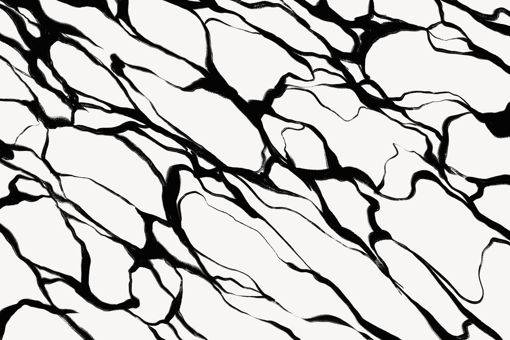 Abstract wavy background, black and white design