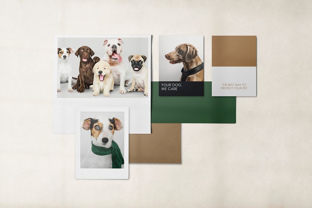 Pet care mood board, dogs design