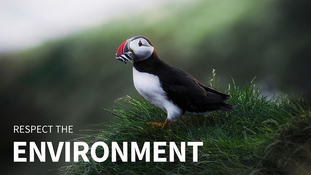 Respect the environment template vector with puffin in nature