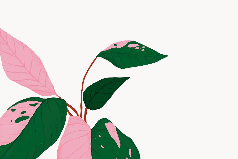 Tropical background pink princess philodendron illustration