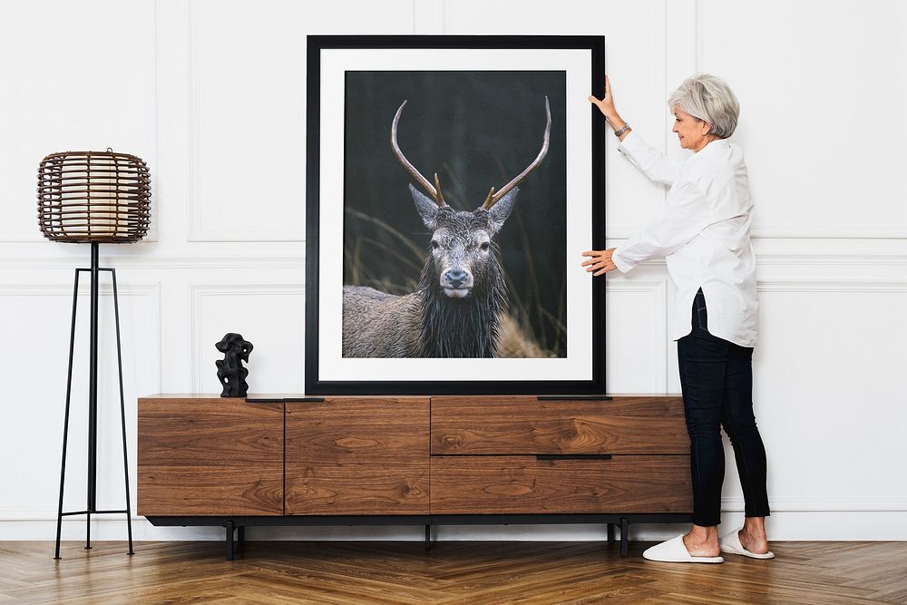 Framed stag, wild animal aesthetic photo