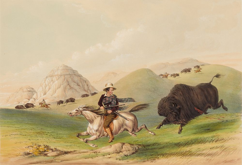 Buffalo Hunt, Chasing back. Original from the Minneapolis Institute of Art.
