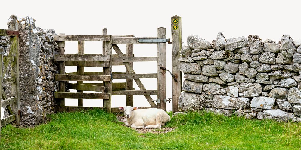 Sheep border collage element, farm landscape psd