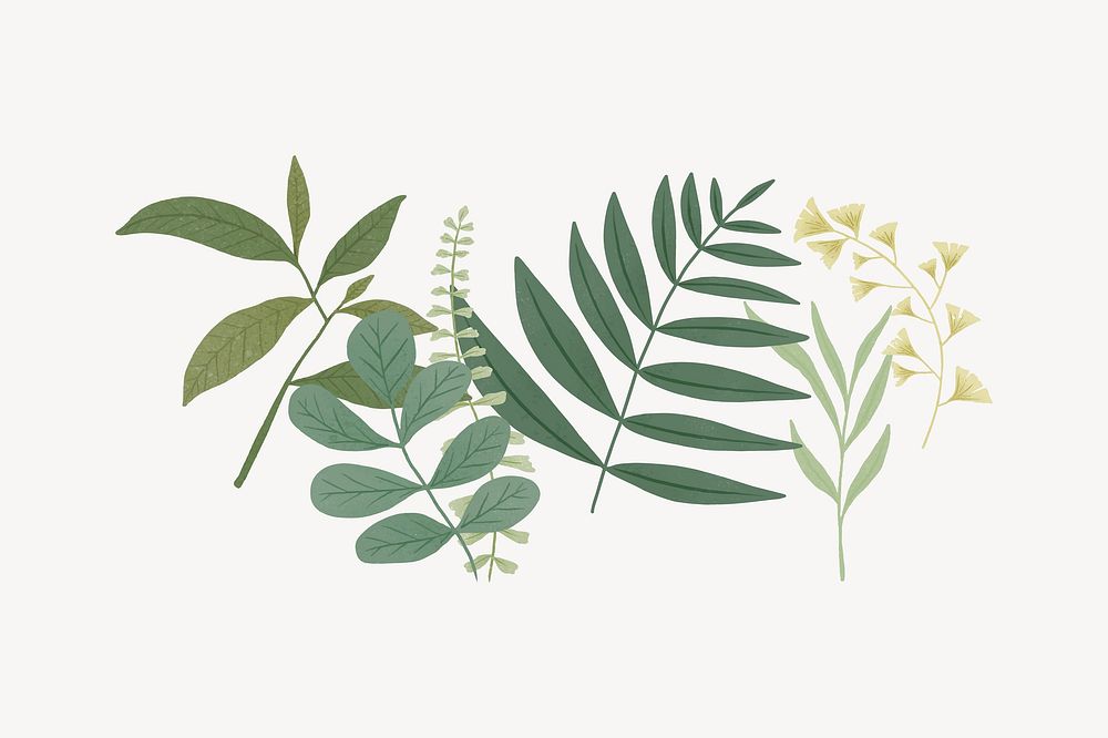 Tropical leaf collage element, botanical design vector
