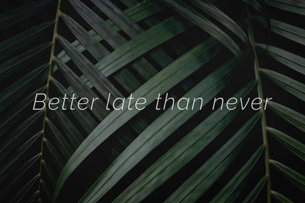 Better late than never quote on a palm leaves background