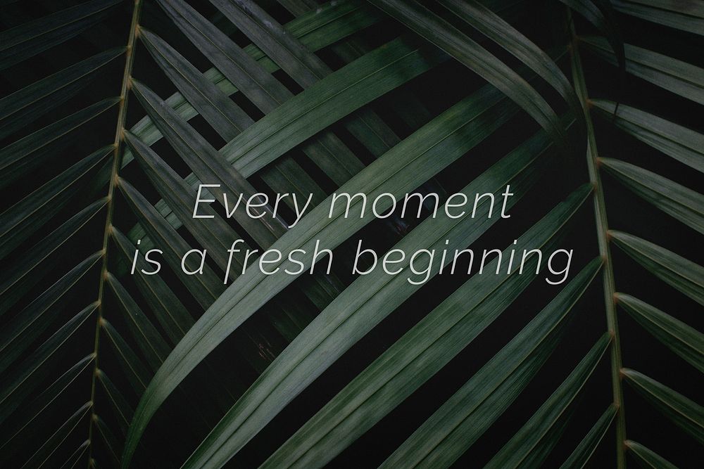 Every moment is a fresh beginning quote on a palm leaves background
