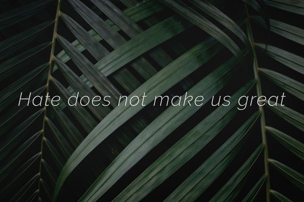 Hate does not make us great quote on a palm leaves background
