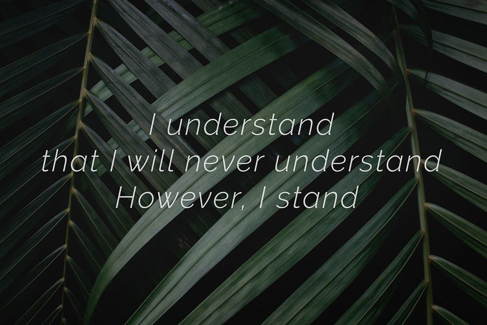 I understand that I will never understand. However, I stand quote on a palm leaves background