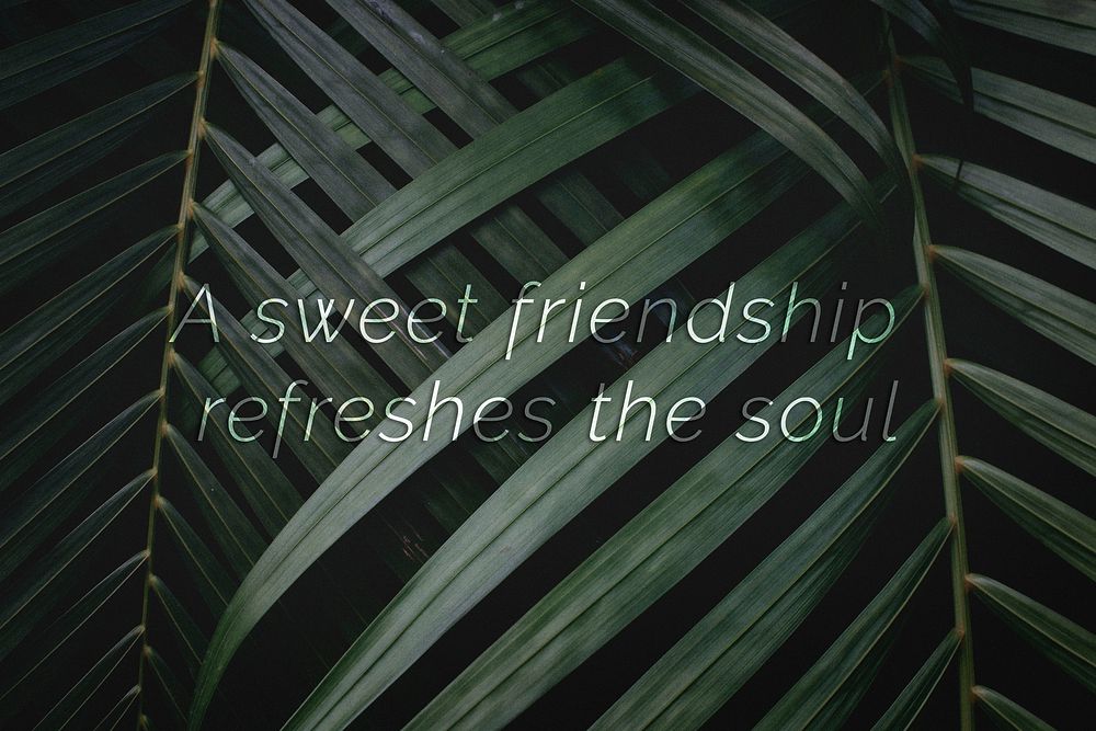 A sweet friendship refreshes the soul quote on a palm leaves background