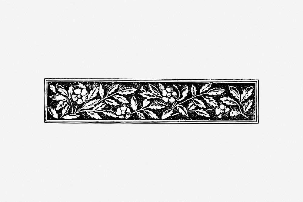 Vintage floral divider clipart, illustration. Free public domain CC0 image.