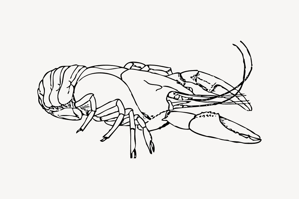 Lobster line art collage element vector. Free public domain CC0 image.