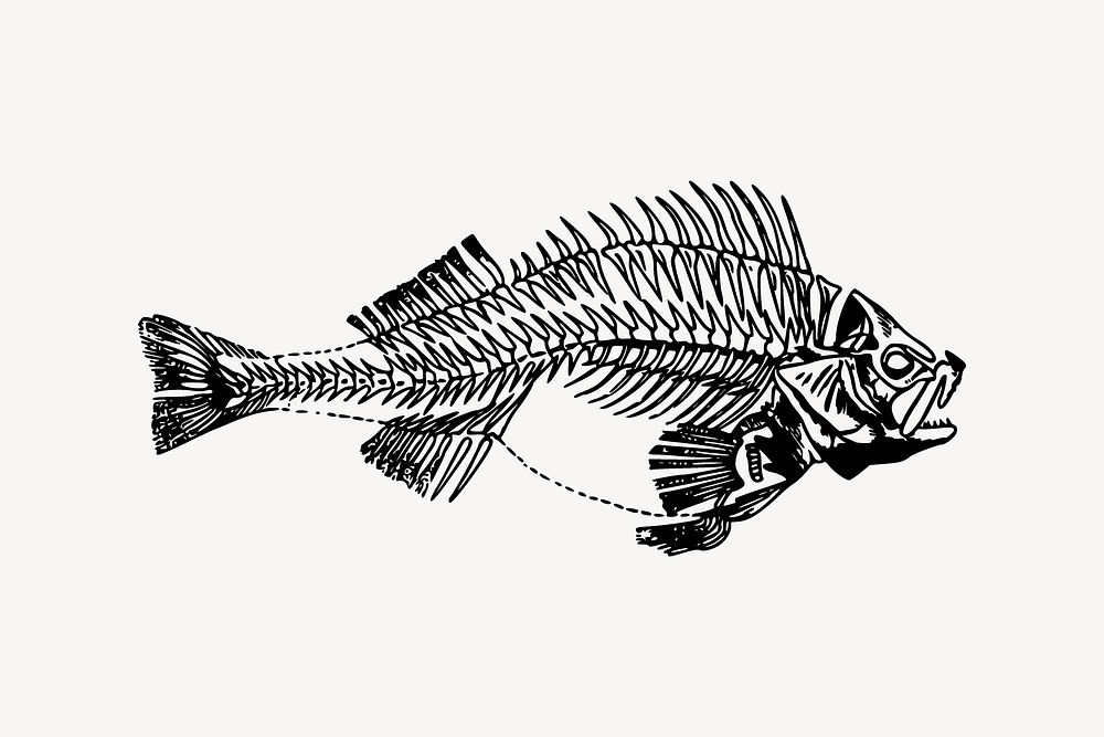 Fish bones collage element vector. Free public domain CC0 image.