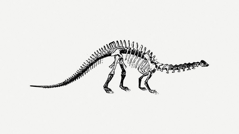 Dinosaur fossil collage element psd. Free public domain CC0 image.